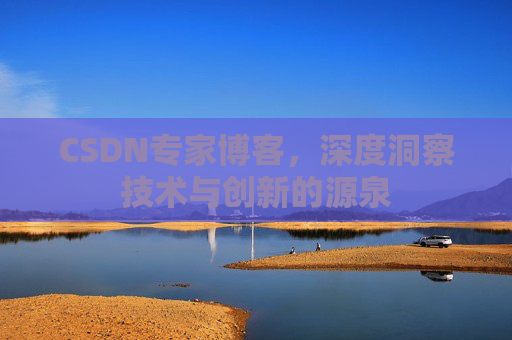 CSDN专家博客，深度洞察技术与创新的源泉